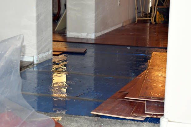 Professional Basement Water Removal technician working in Brenham, TX