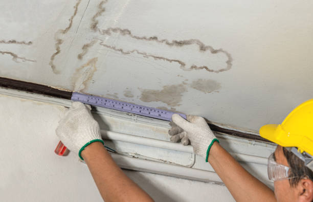 Reliable Basement Water Removal contractor in Brenham, TX by Water Damage Irwin